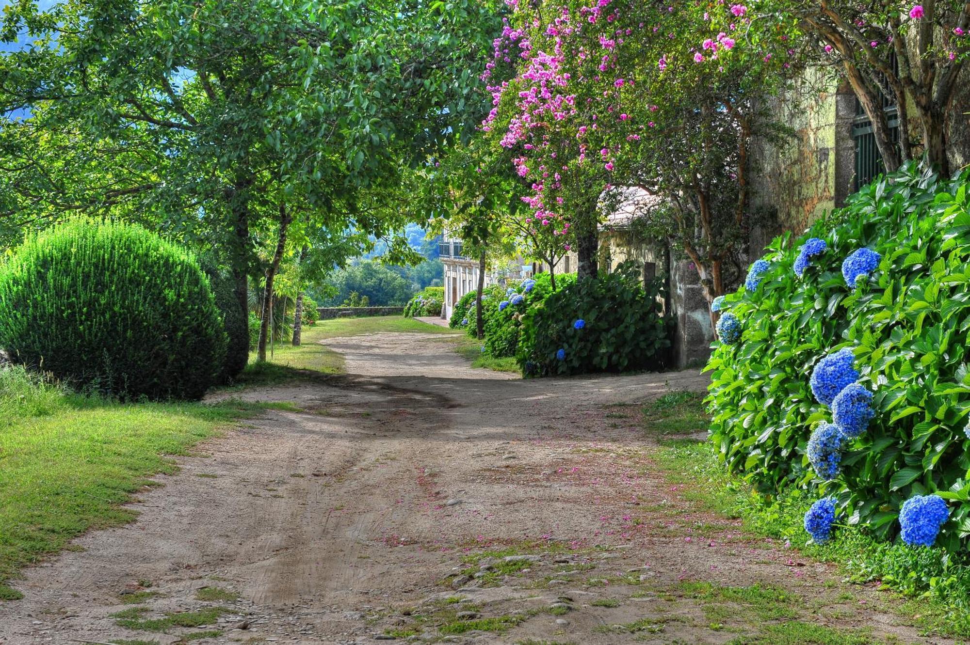 Quinta De Luou Villa Santa Cruz do Lima Eksteriør billede